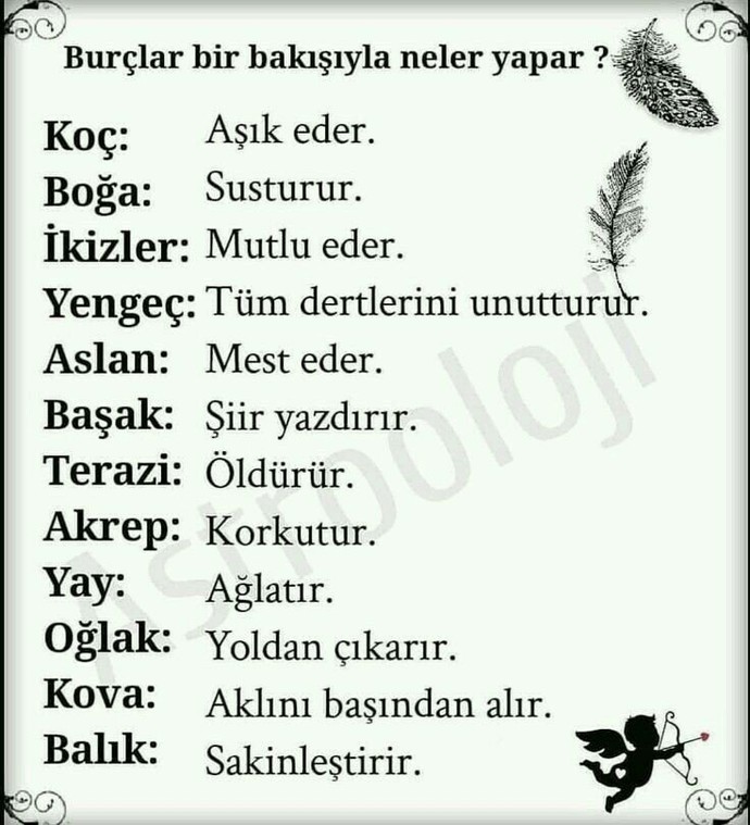 Selamlar arkadaşlar sizin burcunuz görselde hangisi?