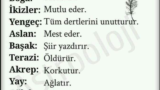 Selamlar arkadaşlar sizin burcunuz görselde hangisi?