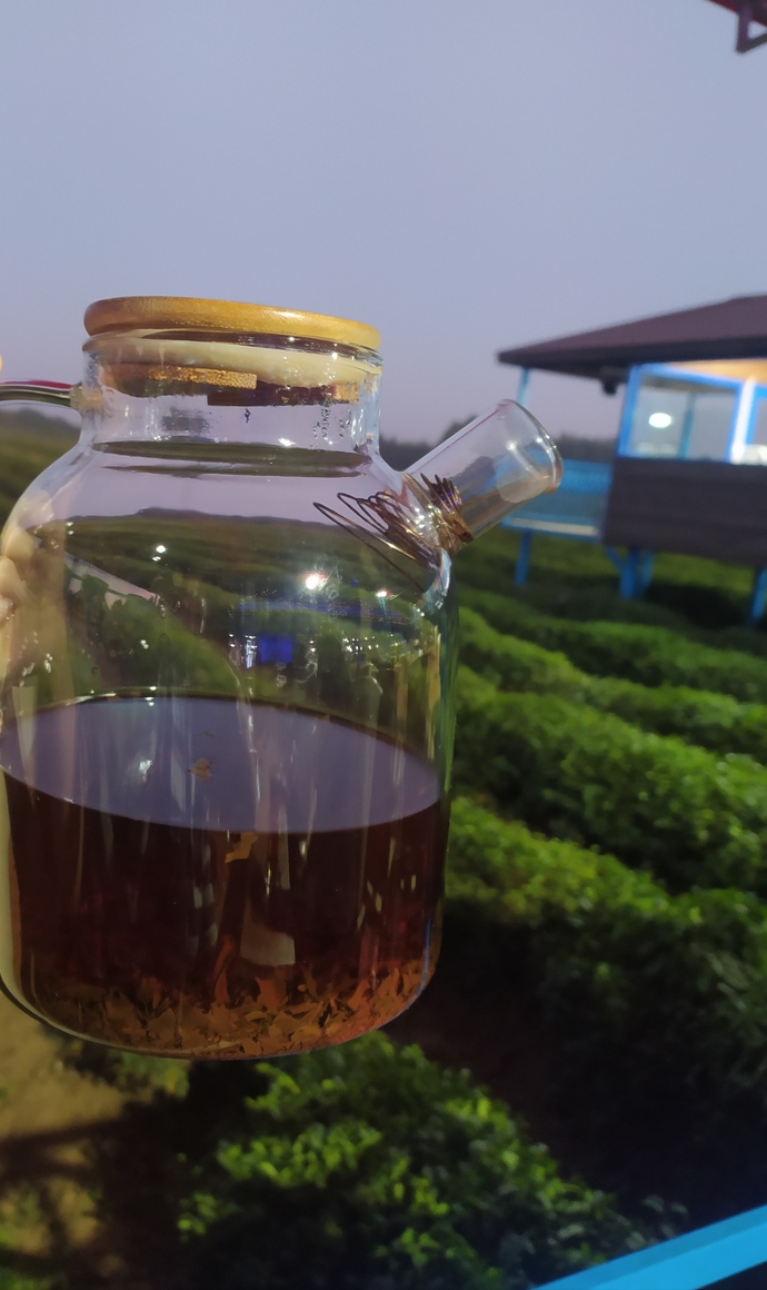 Çay tarlasının üzerinde kocaman kafe düzenlemişler tabi fiyatlar tavan🙄