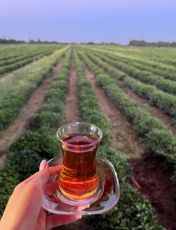 Çay plantasiyası gezdiniz mi hiç? Seyahatinizi nasıl değerlendirmeyi seversiniz?