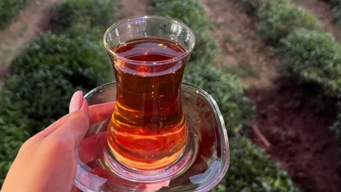 Çay plantasiyası gezdiniz mi hiç? Seyahatinizi nasıl değerlendirmeyi seversiniz?