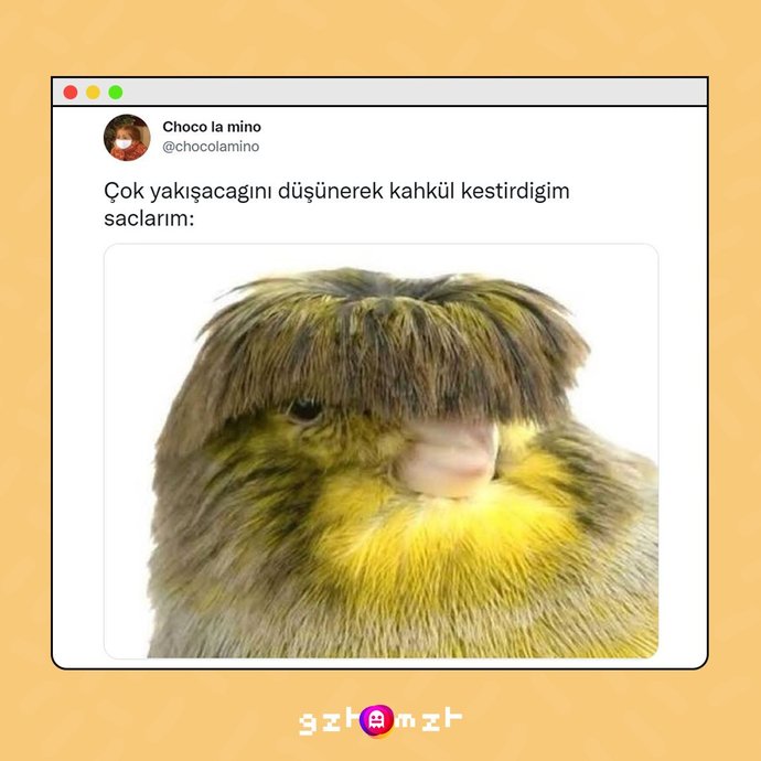 Bana kâkül yakışır mı?