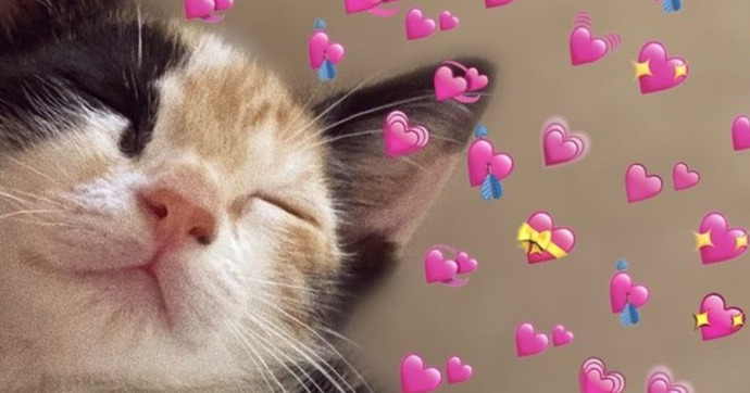 Aşk hayatınızı bir emojiyle anlatın desem nasıl anlatırdınız?