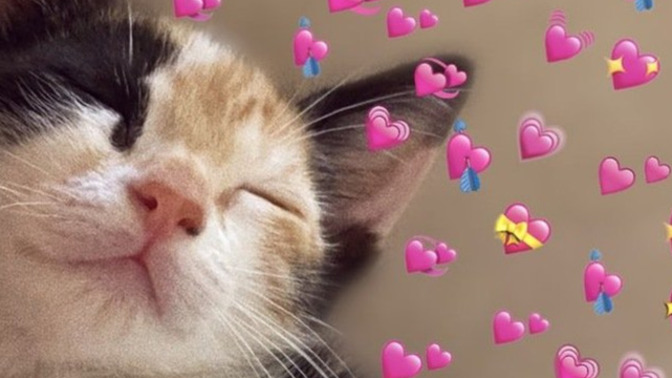 Aşk hayatınızı bir emojiyle anlatın desem nasıl anlatırdınız?
