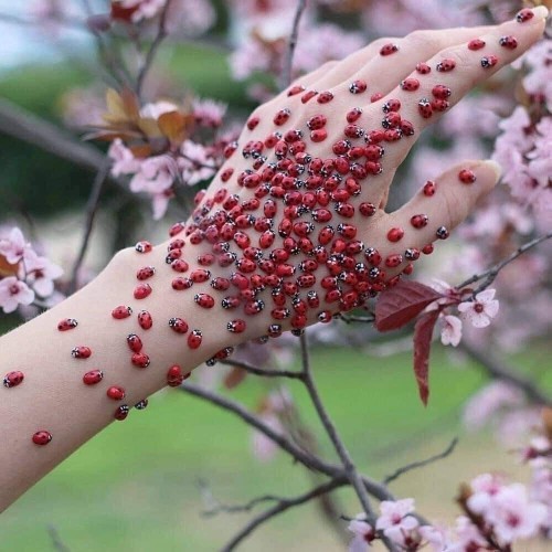 Yataktan kalktığınız zaman ilk yaptığınız şey nedir?