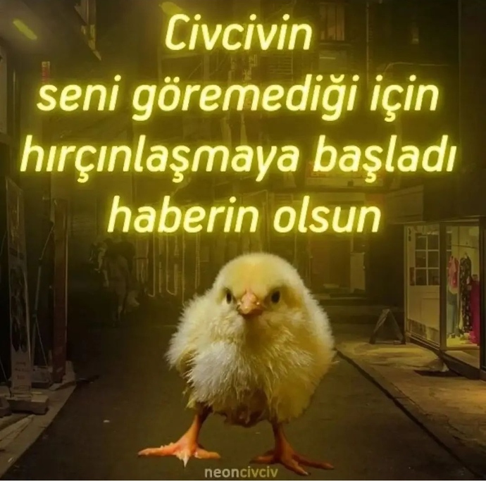 Agresifim diyorum inanmıyolaa🥲