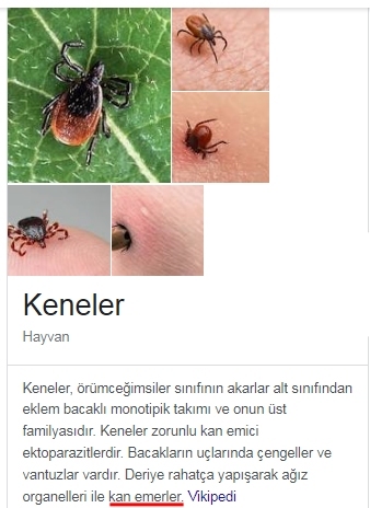 yeter yeter yeter
