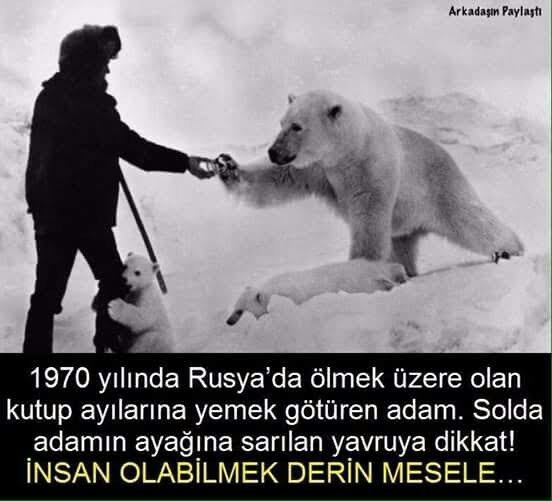 Galerinizdeki en son fotoğraf ne?
