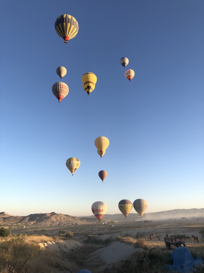 Galerinizdeki en son fotoğraf ne?