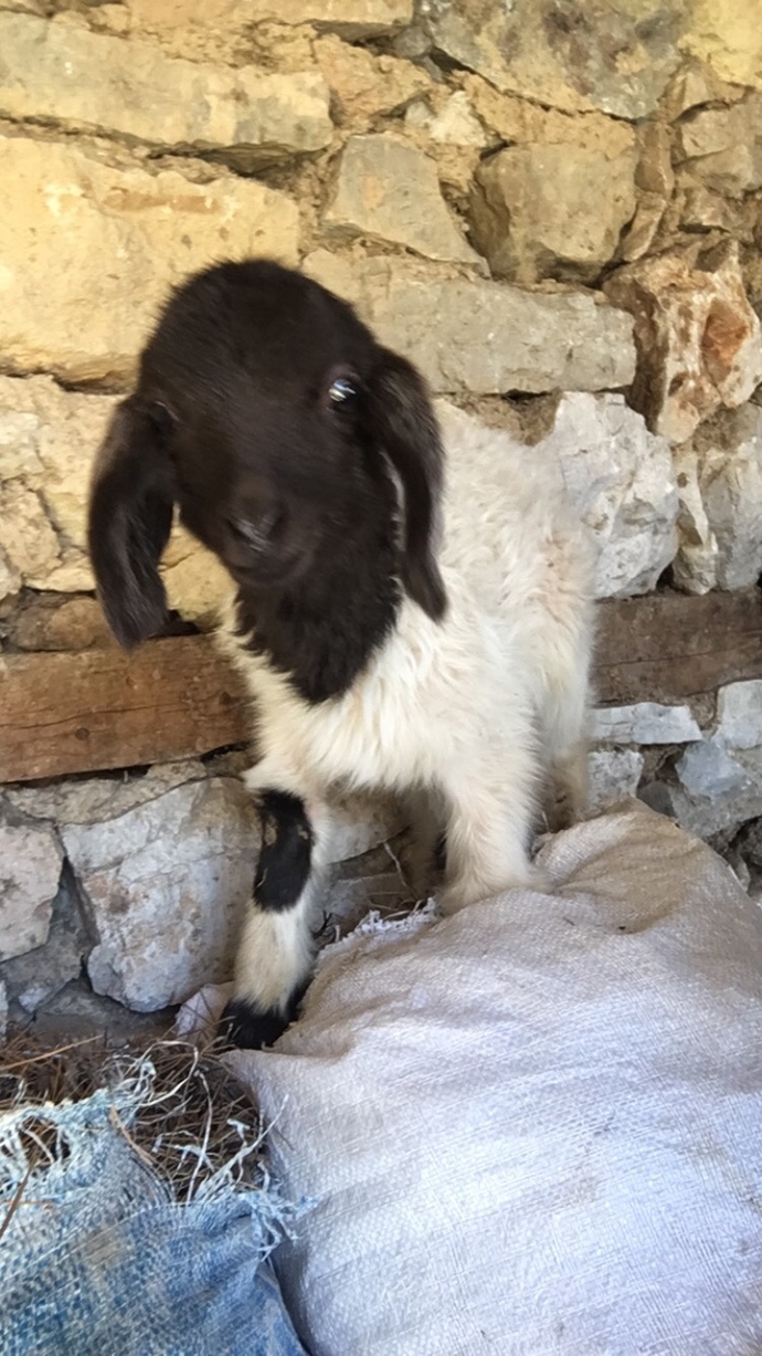 Galerinizdeki en son fotoğraf ne?