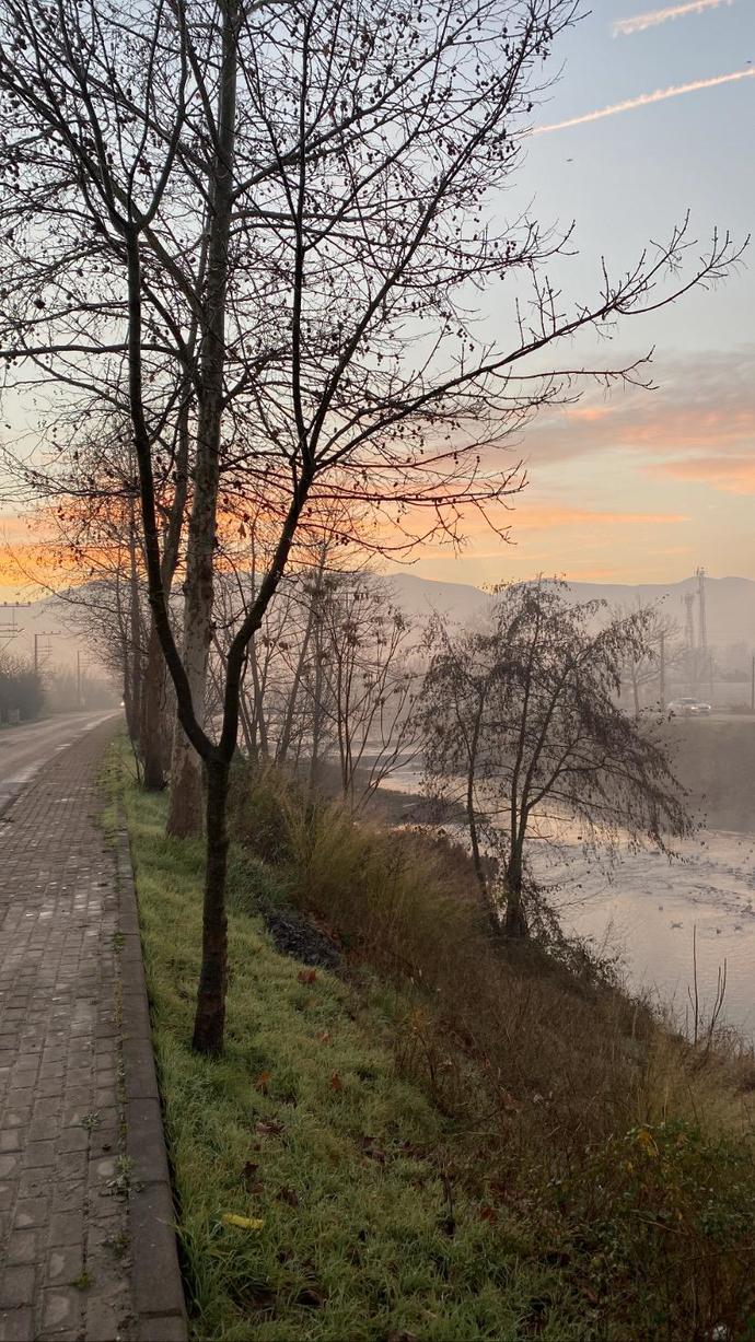Galerinizdeki en son fotoğraf ne?