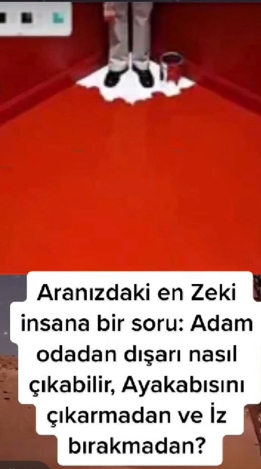 Zekice cevaplar bekliyorum✌️