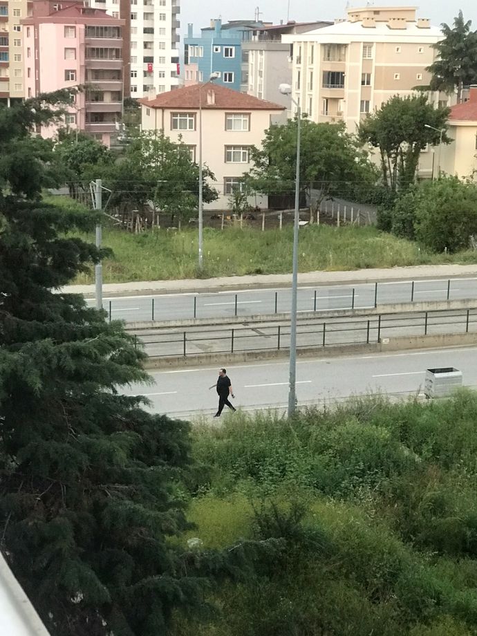 Galerinizdeki son fotoğrafta ne vardır?
