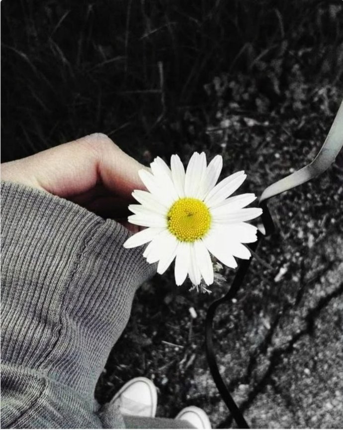 En son aldığınız şeyi bana verseydiniz, şimdi neyim olurdu?