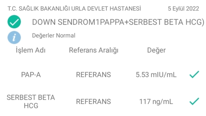 İkili test sonuçlarım çıktı?