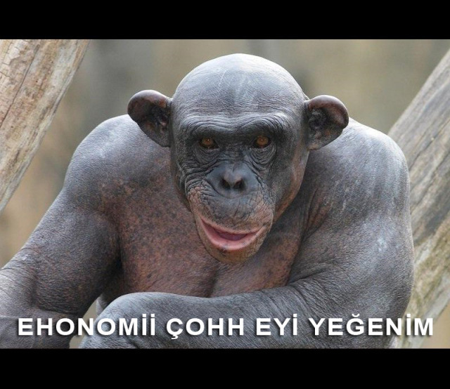 2+1 evler 608 bin TL, 3+1'ler 850 bin TL! Sosyal konut projesini nasıl buldun, ev alabilir misin?