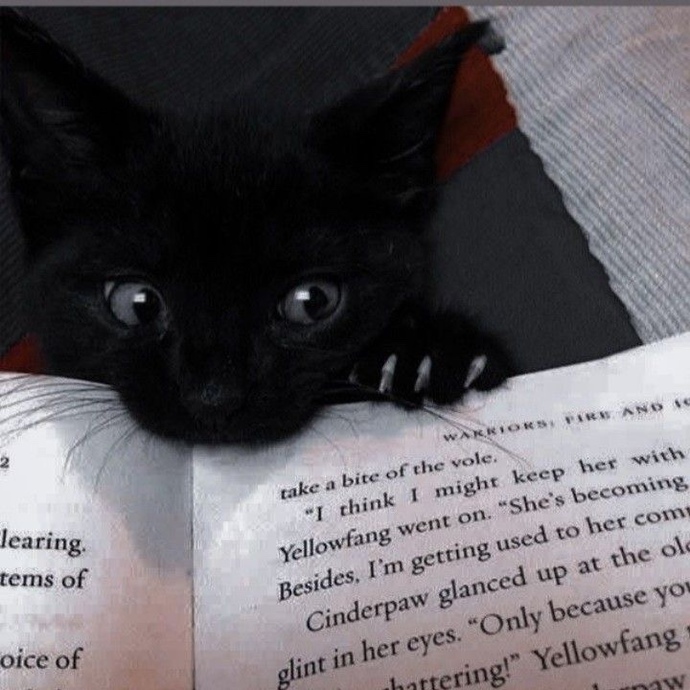 Kitap hayatınızın bir parçası olabildi mi yoksa söz konusu kitap okumak olunca “vakit bulamıyorum” diyenlerden misiniz?