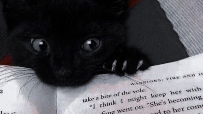 Kitap hayatınızın bir parçası olabildi mi yoksa söz konusu kitap okumak olunca “vakit bulamıyorum” diyenlerden misiniz?