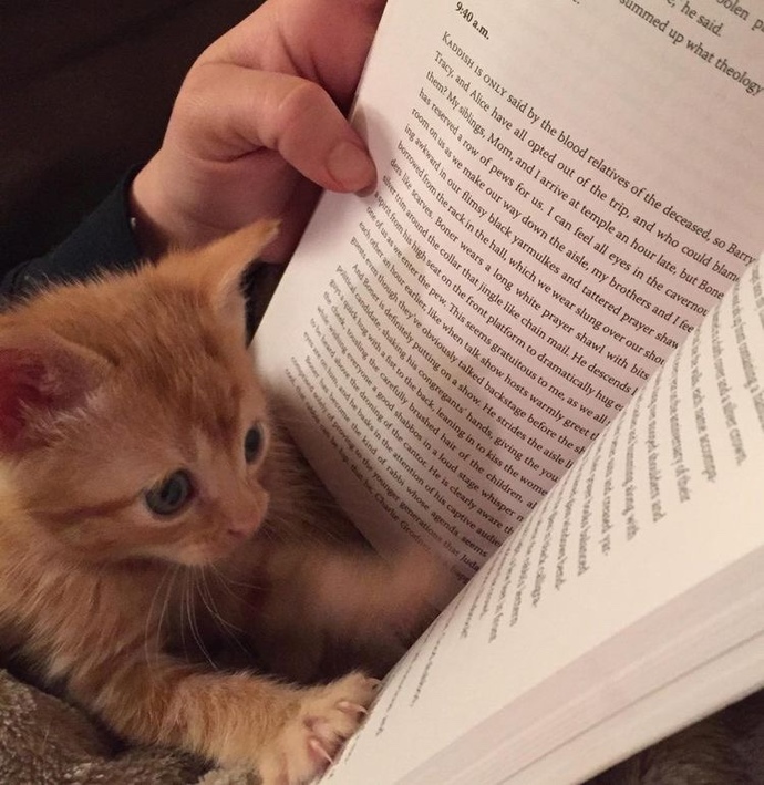 “Kitap en iyi dosttur.” sözüne katılır mısınız?