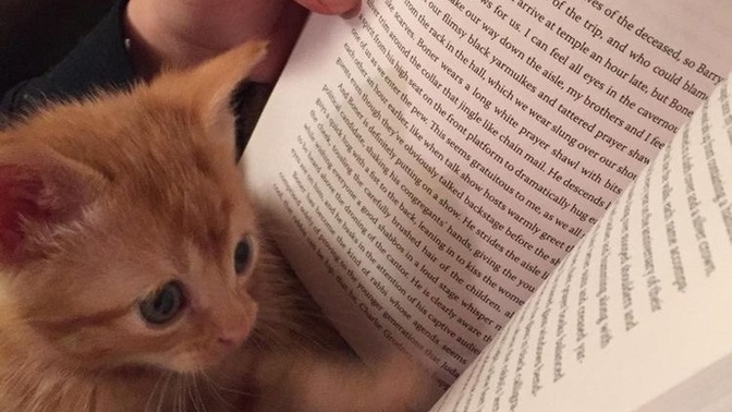 “Kitap en iyi dosttur.” sözüne katılır mısınız?