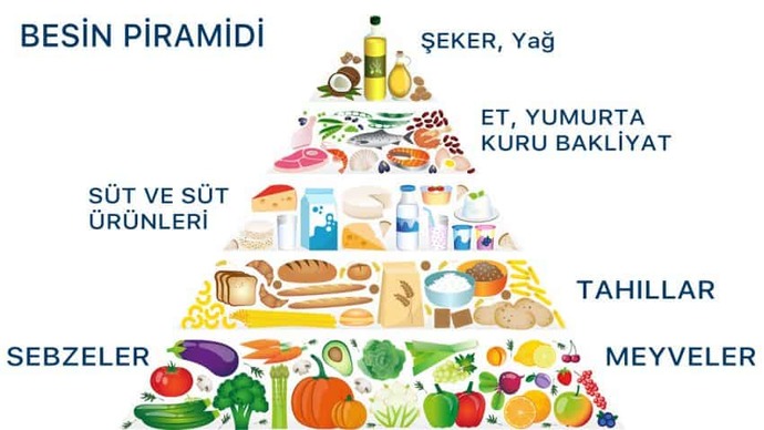 Veganlık büyük saçmalık değil mi sizce de?