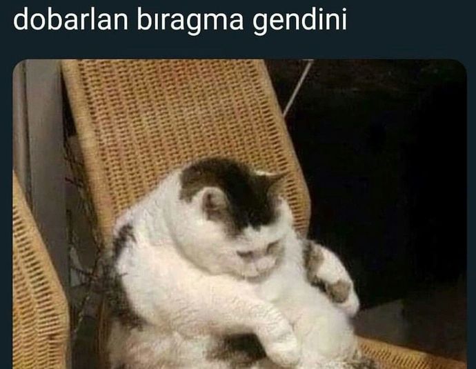 Sabah 5te yatıp öğleden sonra 4te kalkıyorum nasıl toparlanacağım?
