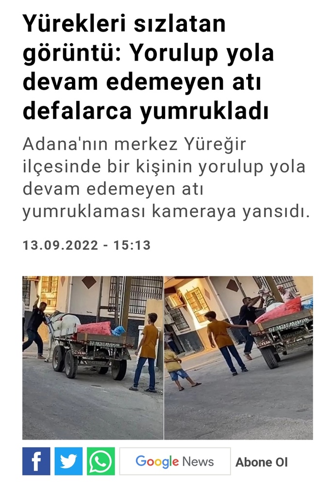 Canlı şiddetine karşı sizce de artık idam gelmeli mi?
