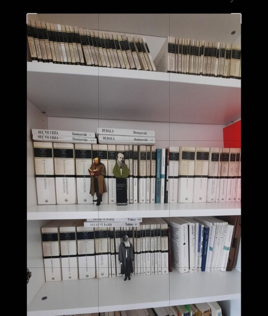 Bir yazarın tüm kitaplarını okuma gibi bir idealiniz oldu mu?