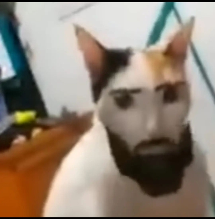 10 günlük tatile çıkacağım. Sizce yıllık iznimde @cnrche ne kadar bunalıma girer😁?