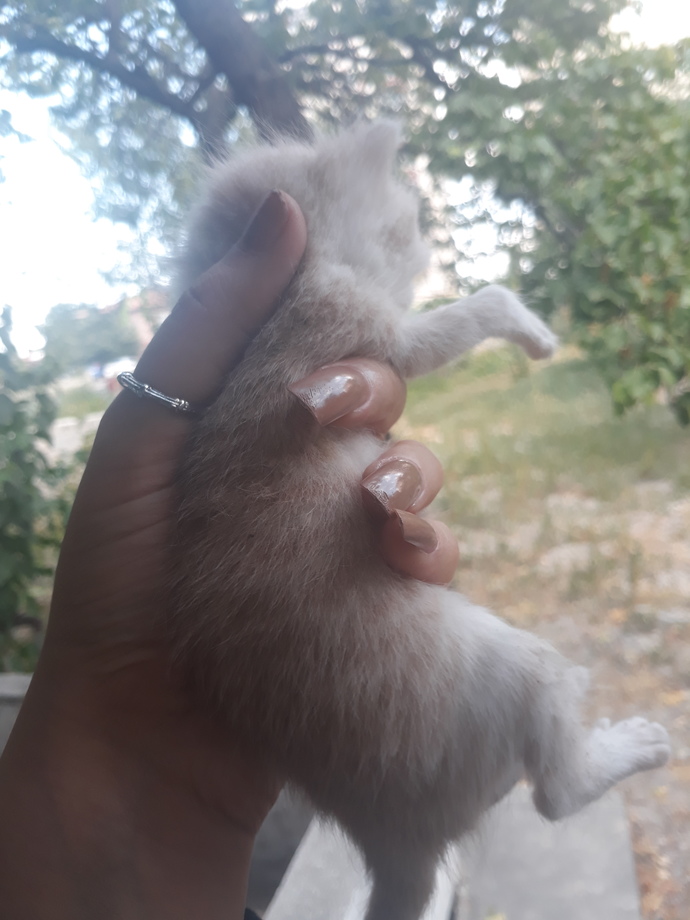 Bu miniğin adı ne olsun arkadaşlar ❤️?