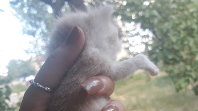 Bu miniğin adı ne olsun arkadaşlar ❤️?