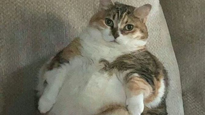Aşk acısı çekmek etkili bir kilo verme yöntemi midir?