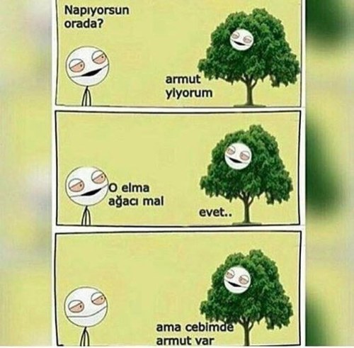 Ağaca çıkmayı/tırmanmayı sever misiniz?