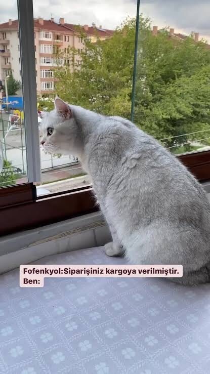 Hafta ortasında enerjin düşüyor mu , kendini nasıl hissediyorsun?