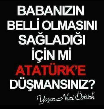 Sizce Atatürk eleştirebilinir mi? Sizin eleştirdiğiniz yönü var mı mesela?