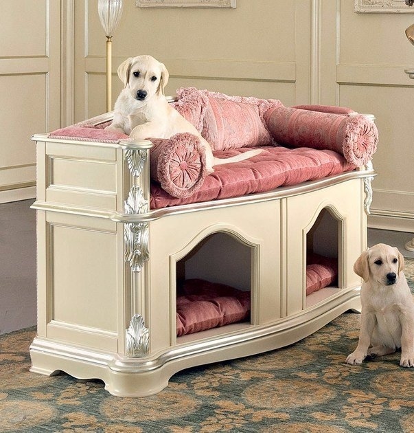 Kediler ve köpekler için tasarlanan avangard mobilyaları nasıl buluyorsunuz?