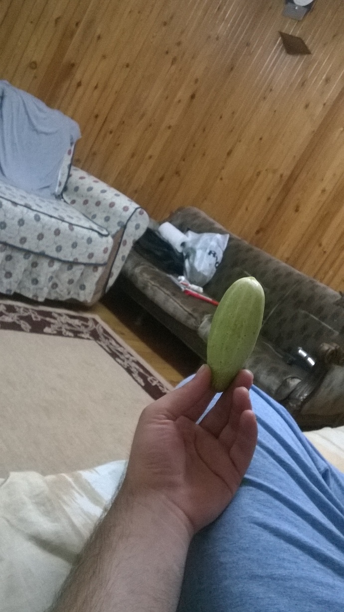 Hıyarım nasıl 🤔 Hıyar sever misiniz 😋?