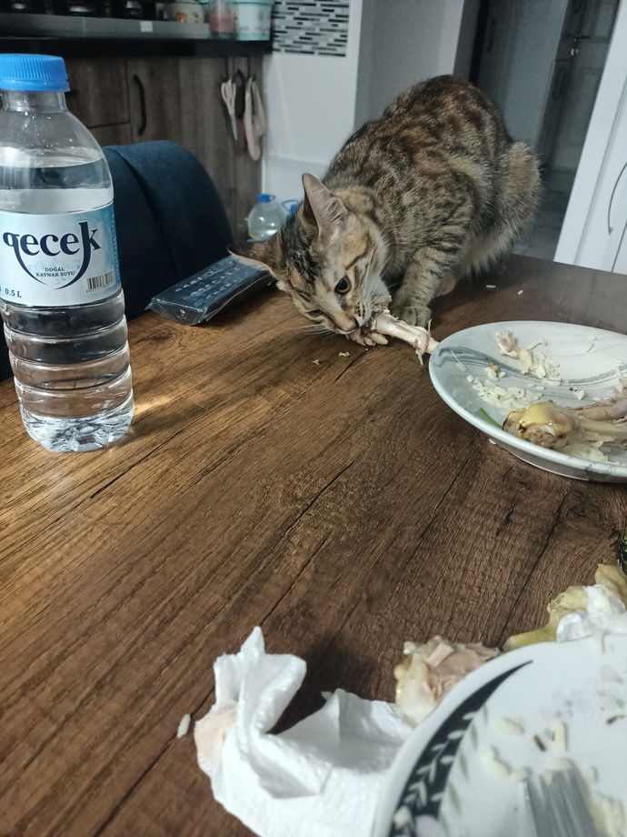 Siz hiç böyle tavuk yediniz mi?