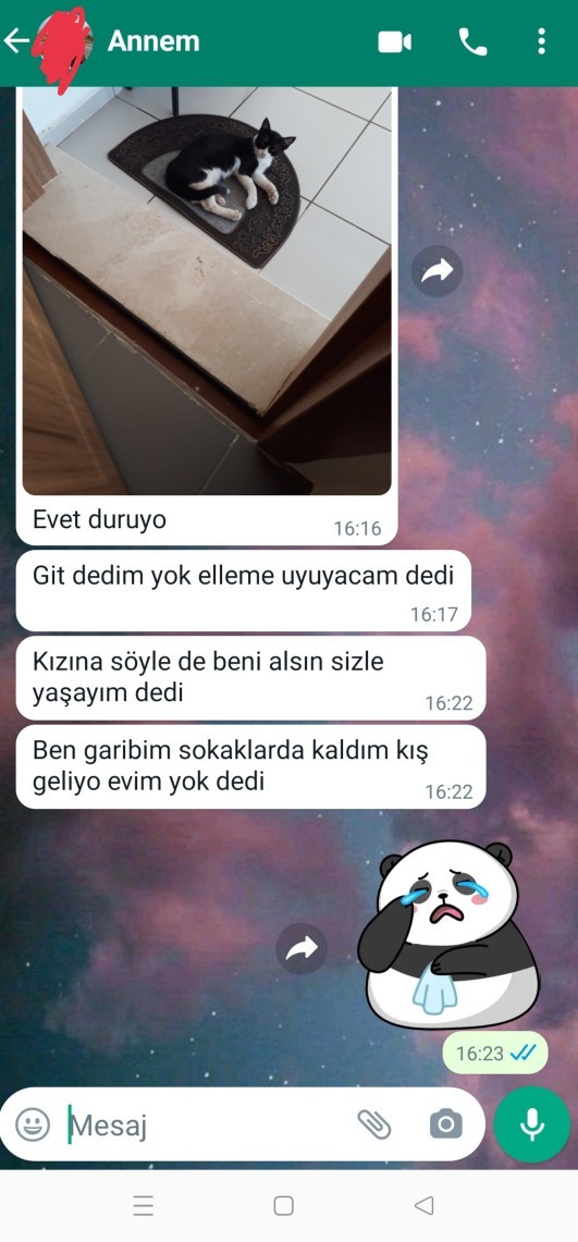 Telefonuna gelen en son mesaj nedir?