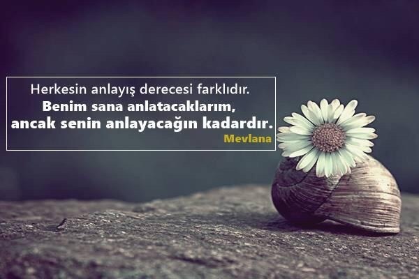 En sevdiğiniz özlü söz hangisidir?