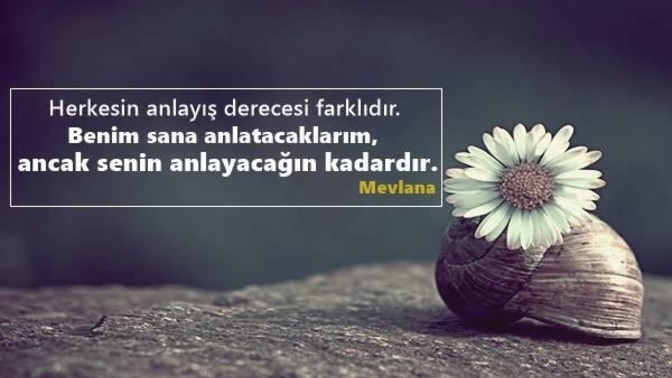 En sevdiğiniz özlü söz hangisidir?