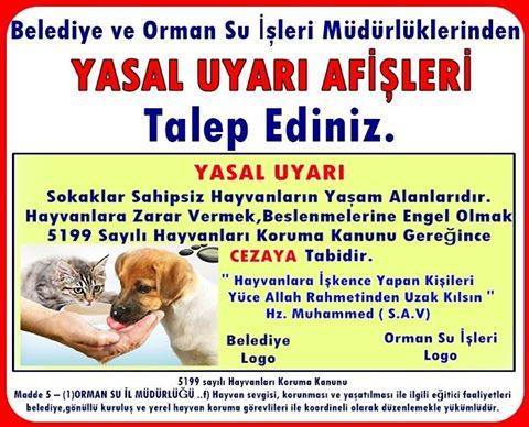 Sokak hayvanlarına kalan yemekleri veriyor musunuz?