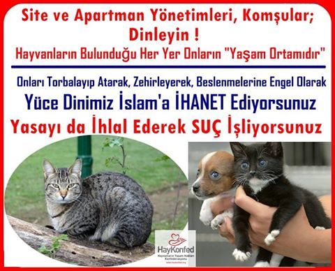 Sokak hayvanlarına kalan yemekleri veriyor musunuz?