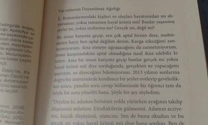 Birisi sana sen aptalsın dese ona ne söylersin?