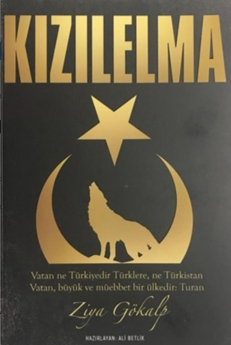 NATO ülkesi olup Şangay İşbirliği toplantısına katılan tek ülke Türkiye bu nasıl mümkün oluyor?