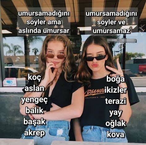 Burcunuzu değiştirme şansınız olsaydı hangisi olurdunuz?