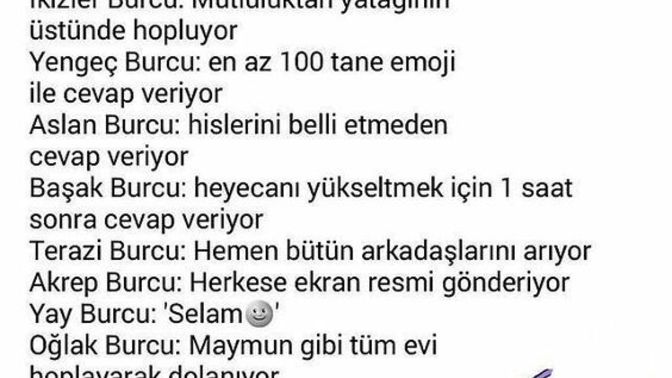 Burçların sevdiği yazarsa neler yaparlar?