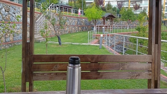 Ders çalışmayı sever misiniz?
