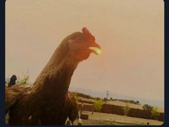 Güneşi gülüşüne nasıl sığdırdın ne anlama geliyor?