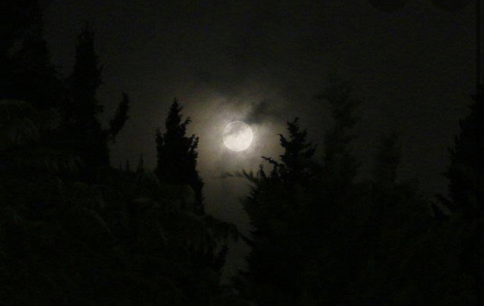 Bana kız bu fotoğrafları gönderdi anlamı nedir?